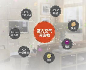 北京市甲醛治理公司告诉你 预防装修后甲醛污染，刻不容缓